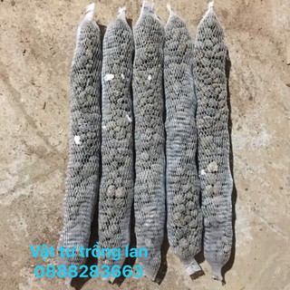 40cm phân dê đóng túi lưới bón lan đã qua xử lí