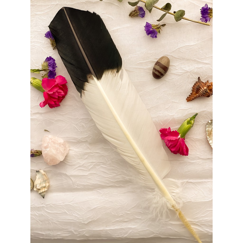 LÔNG VŨ ( Gà Tây, Đại Bàng ), CHÂN ĐẾ GỖ, VỎ SÒ ( Đĩa Ốc ) Dụng Cụ Đốt Thanh Tẩy - THẢO MỘC XÔNG NHÀ