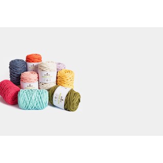 Cuộn Len Sợi Cotton Macrame DMC Nova Vita Art.384 ( bảng màu 2)