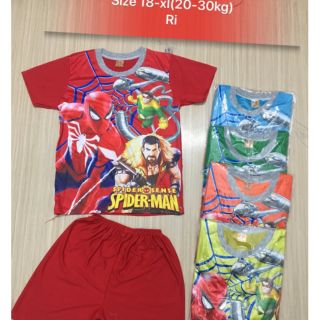 Combo 5bô nhện