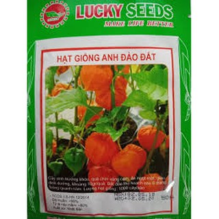 Hạt giống cây ANH ĐÀO ĐẤT (50H)