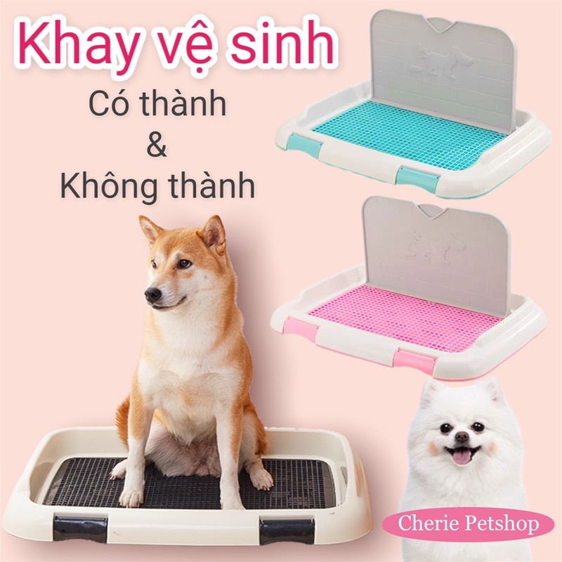 Khay vệ sinh giúp chó đi đúng chỗ