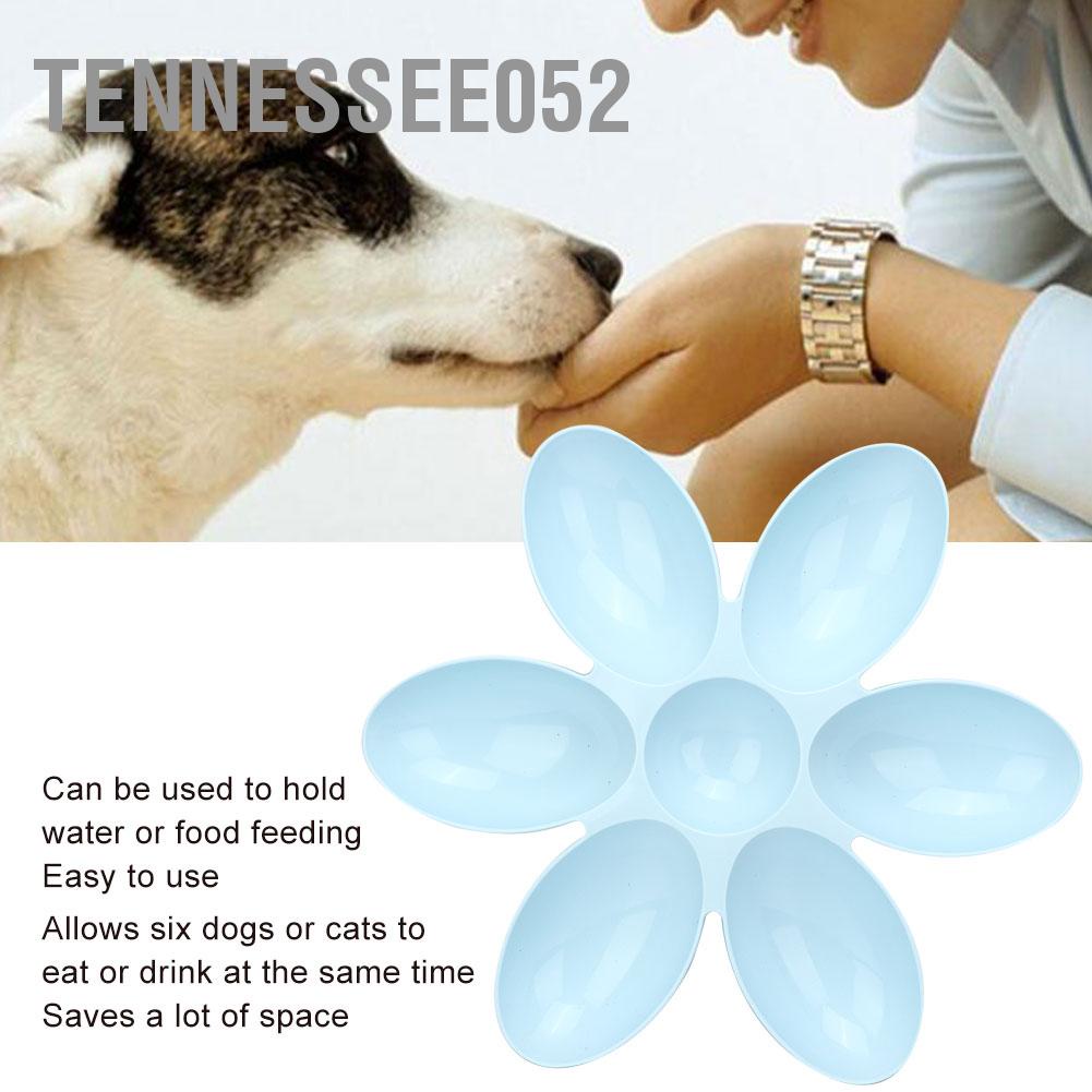 Khay đựng thức ăn 6 ngăn chia đều cho chó cưng/ mèo cưng kiểu hoa bằng PP