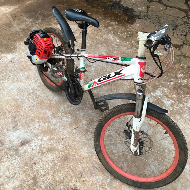 Xe đạp độ gắn máy phát cỏ