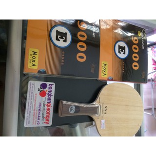 Combo vợt bóng bàn cho người mới 04