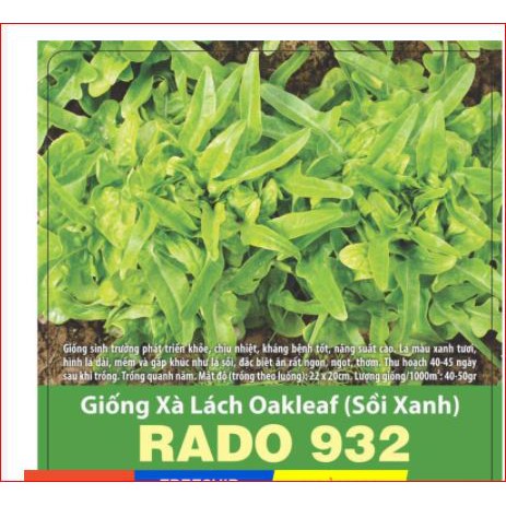 Xà Lách Oakleaf (Sồi Xanh)