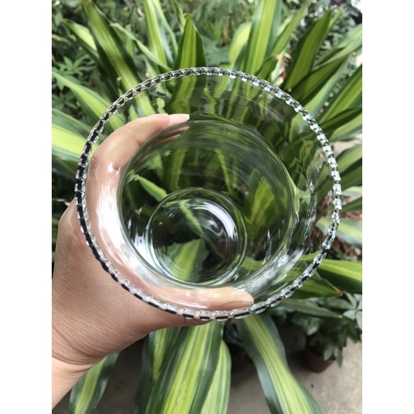 Bình thủy sinh thủy tinh