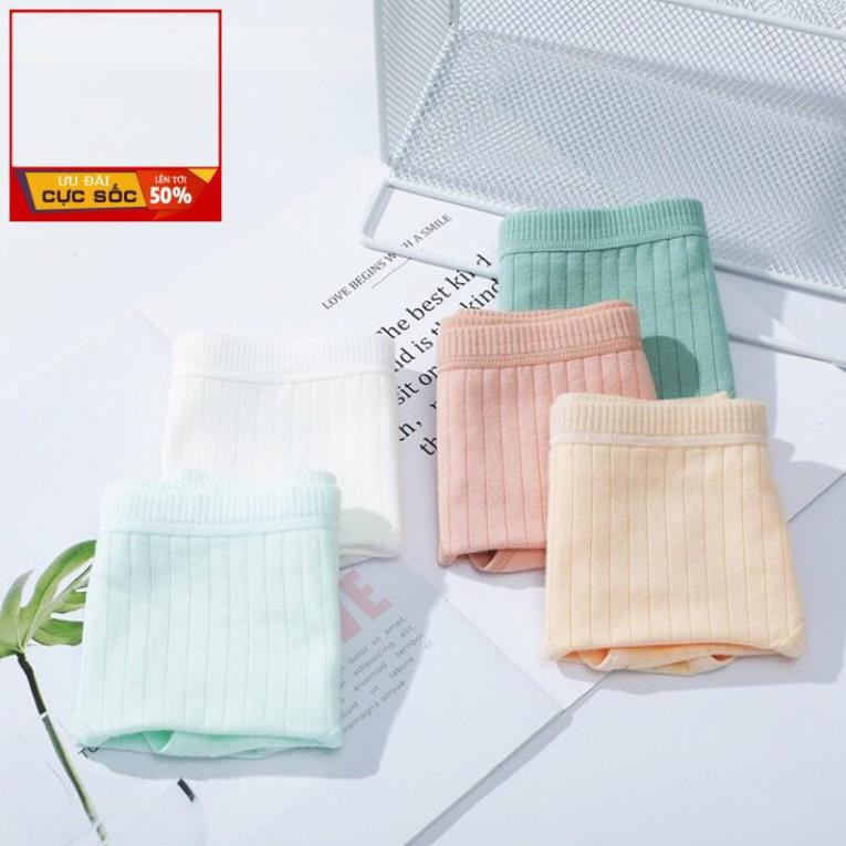 Quần Lót Cotton Tăm Gân Sọc Bản To Xuất Nhật