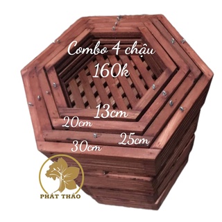 Combo 4 chậu gỗ lục giác trồng lan - ngọc điểm, đai trâu, lan rừng - gỗ cà chắc