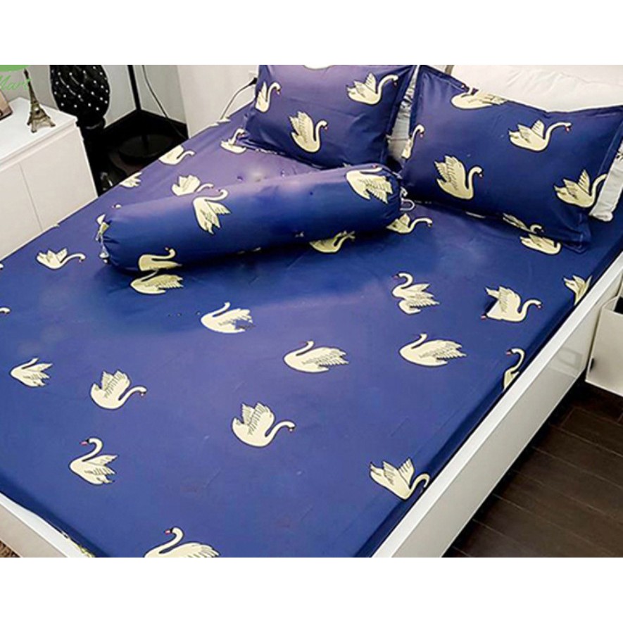 Bán sỉ Vỏ gối nằm cotton poly  (Nhiều mẫu) | BigBuy360 - bigbuy360.vn