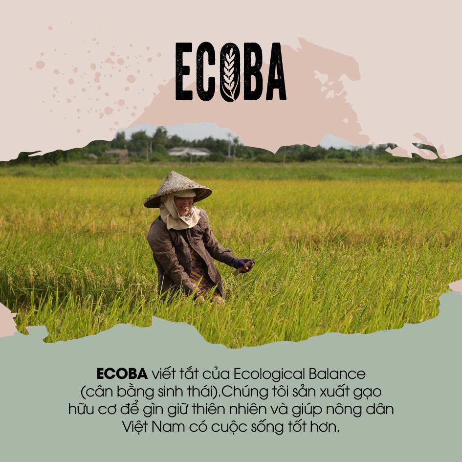Gạo lứt đen hữu cơ/ Ecoba Huyền Mễ 1kg - Combo 3 hộp