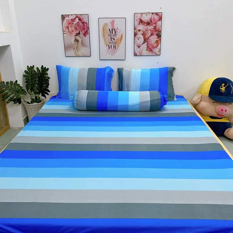Bộ Drap Thun Hàn Quốc Mát Lạnh Cực Hot 1m2