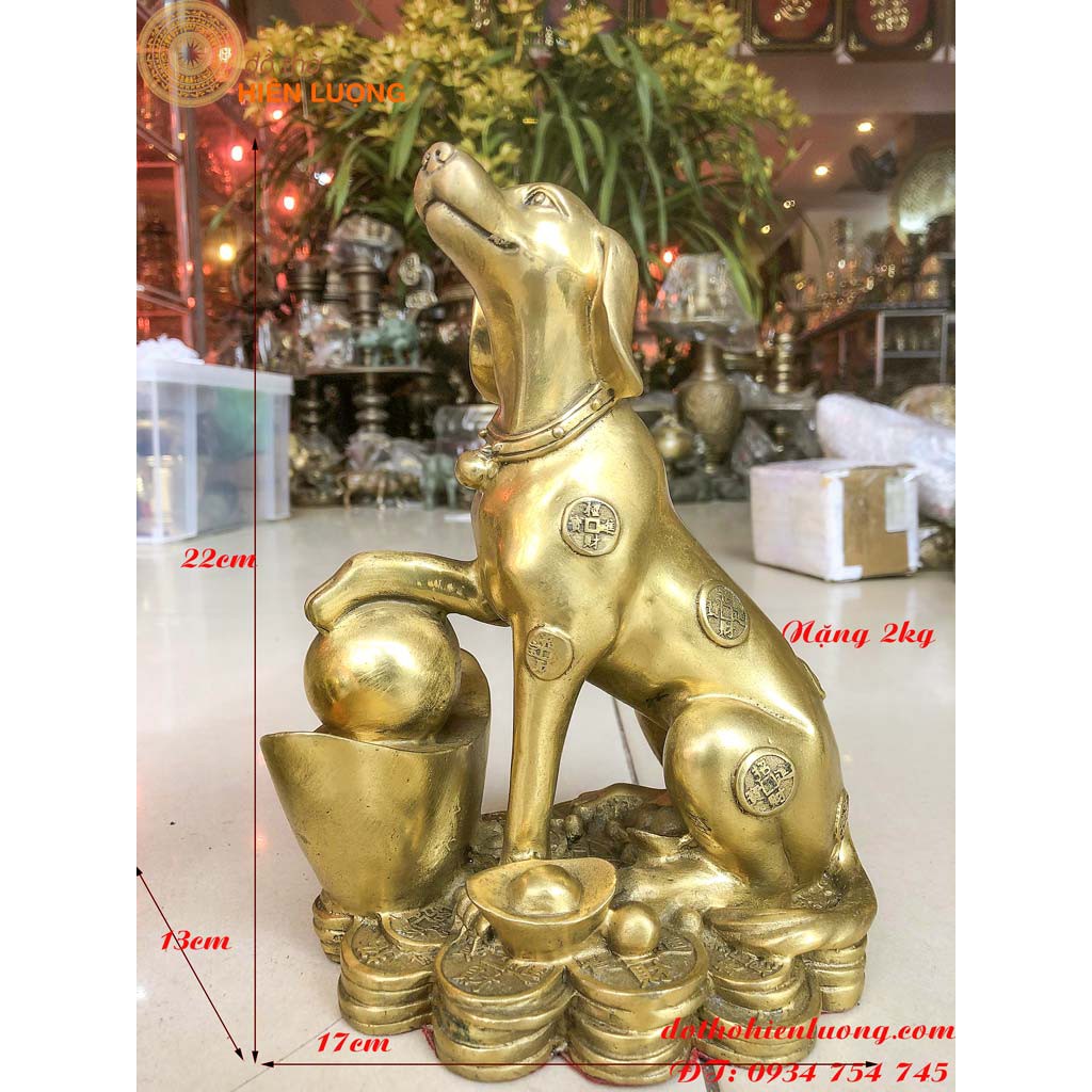 Tượng Chó Ngồi Bệ Vàng Phong Thủy – Linh Vật May Mắn Và Giữ Nhà