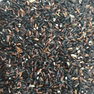 Gạo nếp cẩm Sơn La