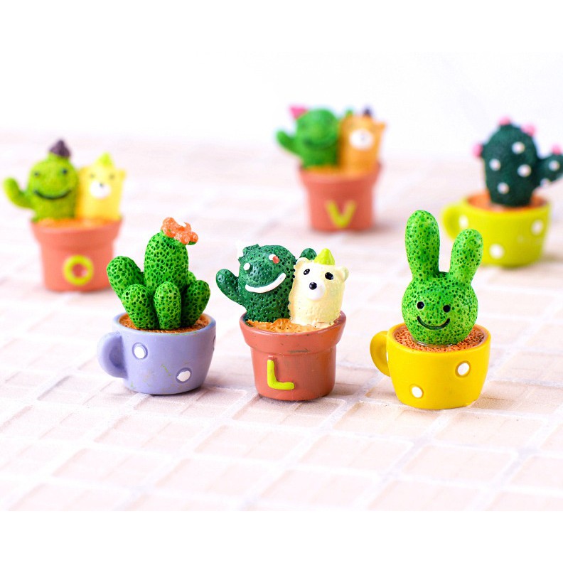 Xương rông tiểu cảnh cỡ 2.6x3.8cm