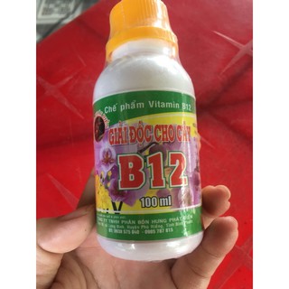 GIẢI ĐỘC CÂY KIỂNG VITAMIN B12