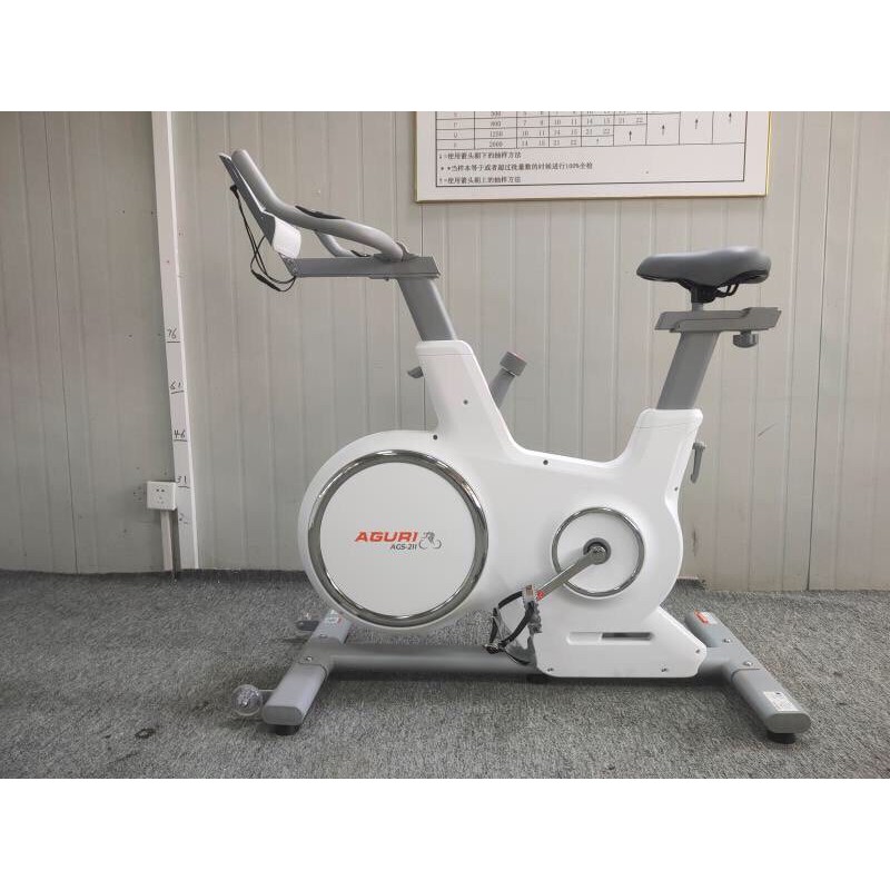 Xe Đạp Tập Thể Dục Tập Gym  AGS-211 Nhập Khẩu Cao Cấp Đại Nam Sport + Tặng Kèm Máy Rung Massage