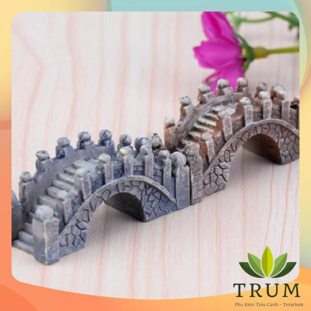 Cầu Đá Vồm - Phụ kênh trang trí tiểu cảnh sen đá - terrarium