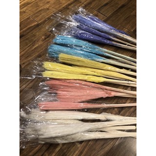 Cành lau mini khô (50cm-65cm)