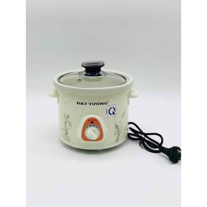 Nồi kho cá cắm điện Đạt Tường loại to 2,5L ruột nồi bằng sứ giữ nhiệt tốt - Nồi hầm chậm gốm sứ - Hàng Việt Nam cao cấp