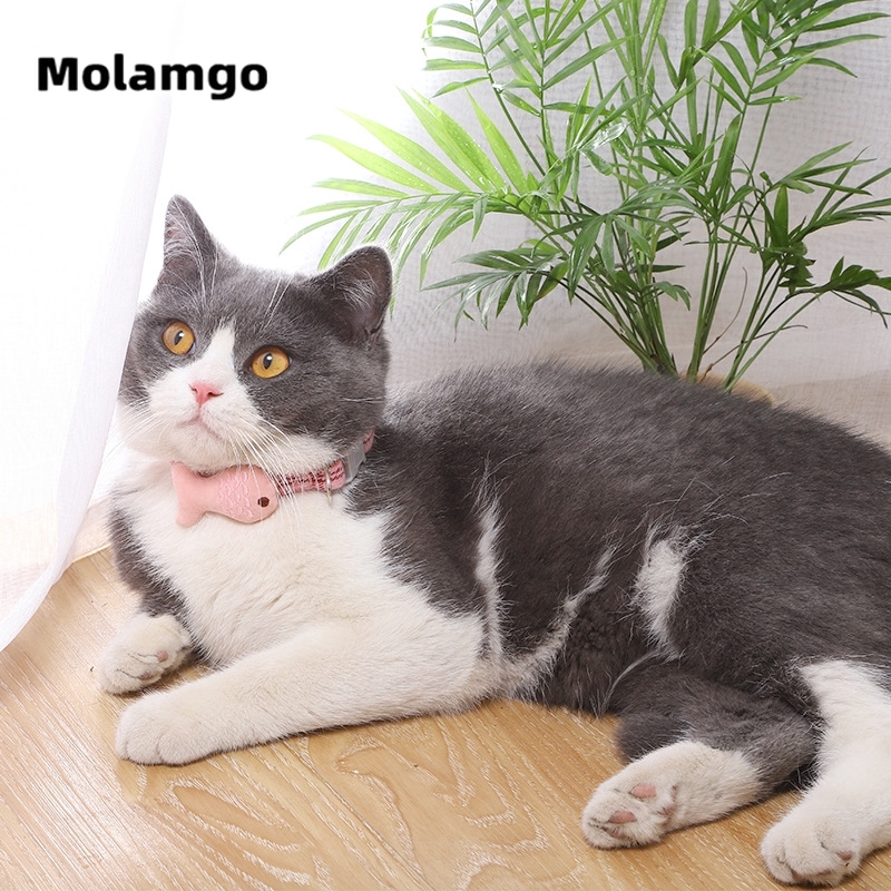 MOLAMGO  Vòng Cổ Thêu Mặt Hình Cá Đáng Yêu Dành Cho Thú Cưng