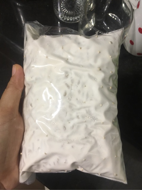 Soybean Tempeh  500gr