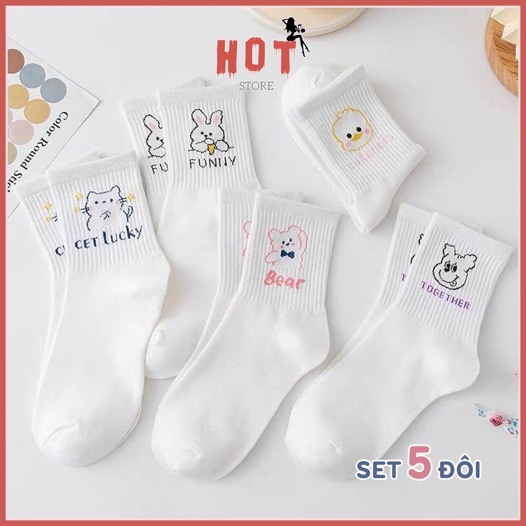 Tất cổ cao nữ họa tiết hình thú dễ thương, set 5 đôi tất vớ chất liệu cotton thoáng khi - Hot Strore