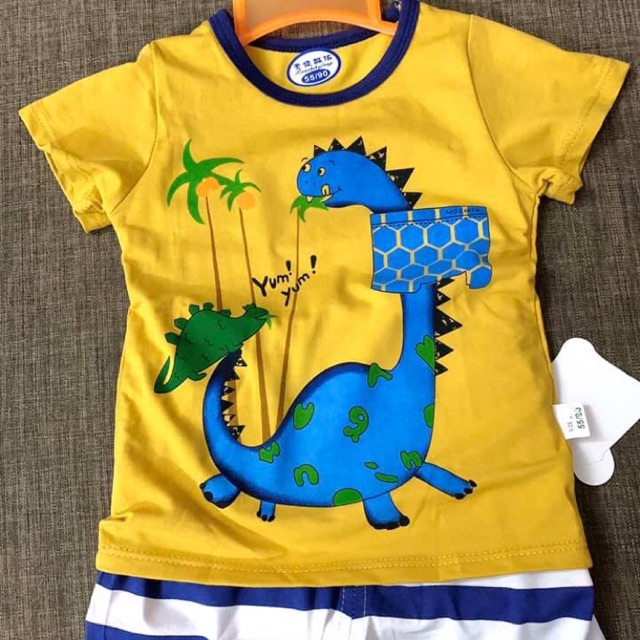 Combo Cotton giấy thái 1