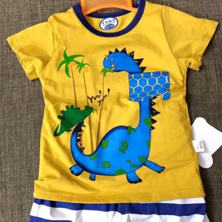 Combo Cotton giấy thái 1
