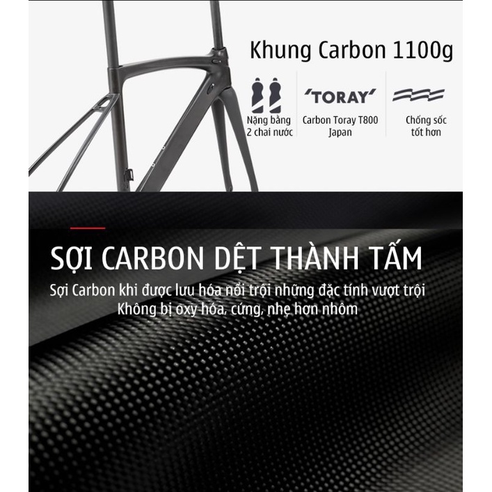 Xe đạp đua sava carbon