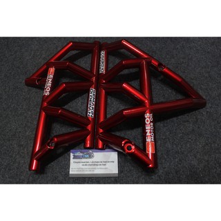 Ốp sườn winner kiểu ducati.