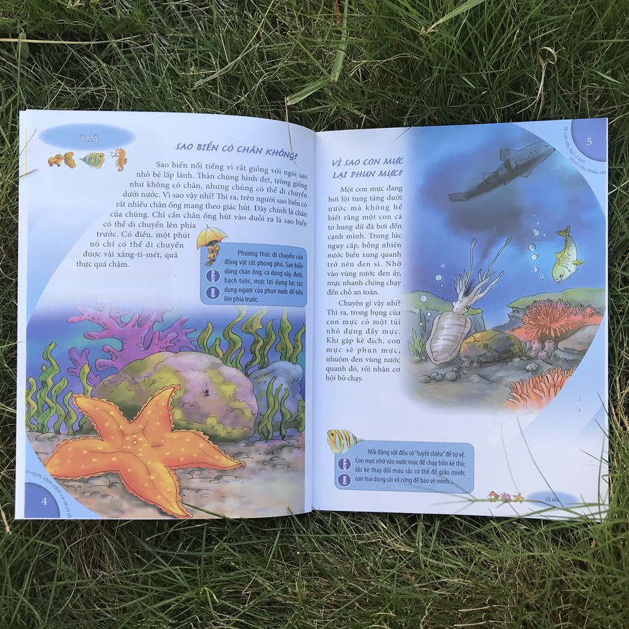 Sách - 10 Vạn câu hỏi vì sao - Cá Ngựa, Chim Cánh Cụt Và Cá Sấu | BigBuy360 - bigbuy360.vn