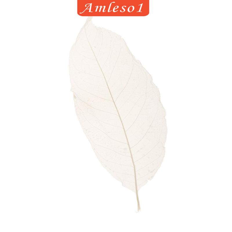 Set 50 Lá Mộc Lan Tự Nhiên Màu Trắng Amleso1 Dùng Trang Trí Sổ Tay
