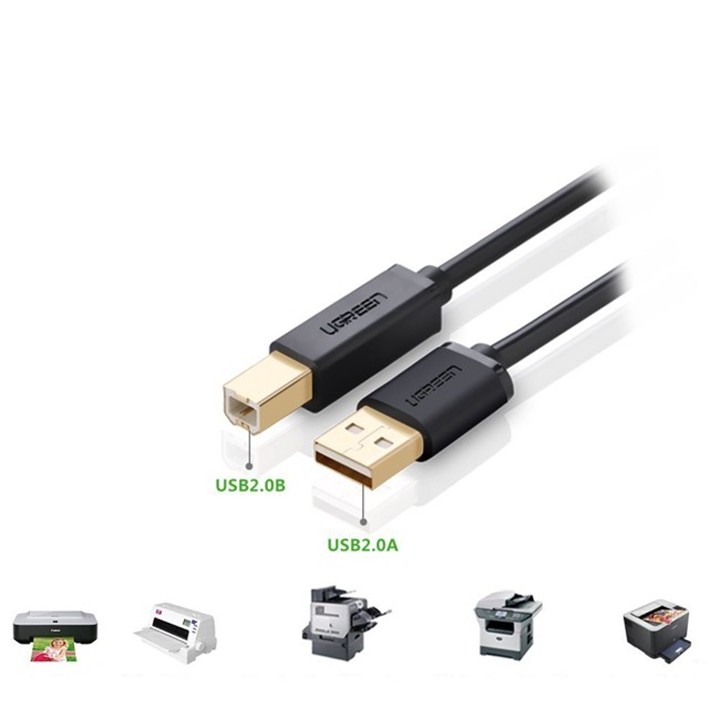 Cáp USB máy in 5m chính hãng Ugreen 10352