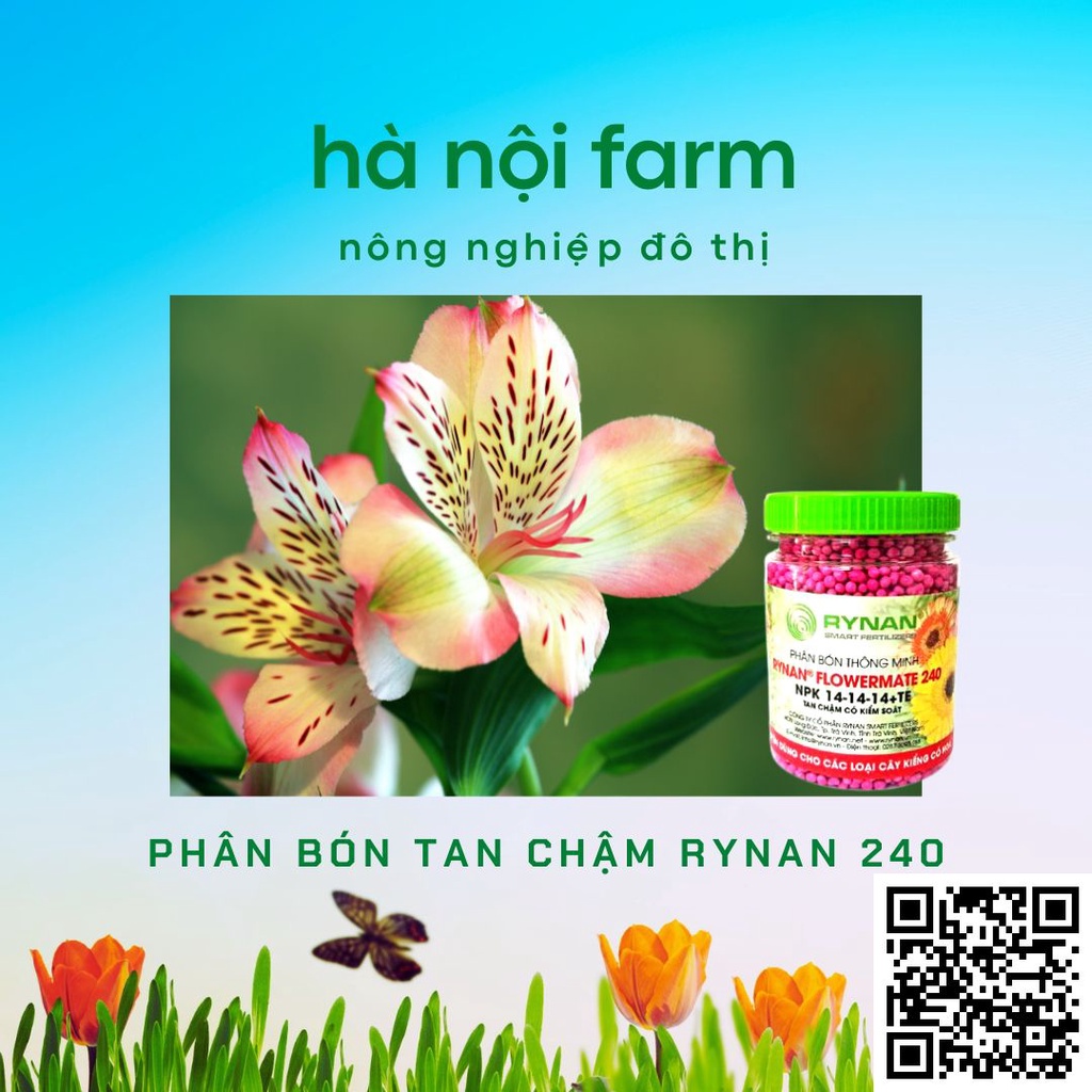 Phân bón thông minh, tan chậm rynan 240. hũ 150g