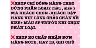 BỘ BA LỖ MICKY BÉ GÁI