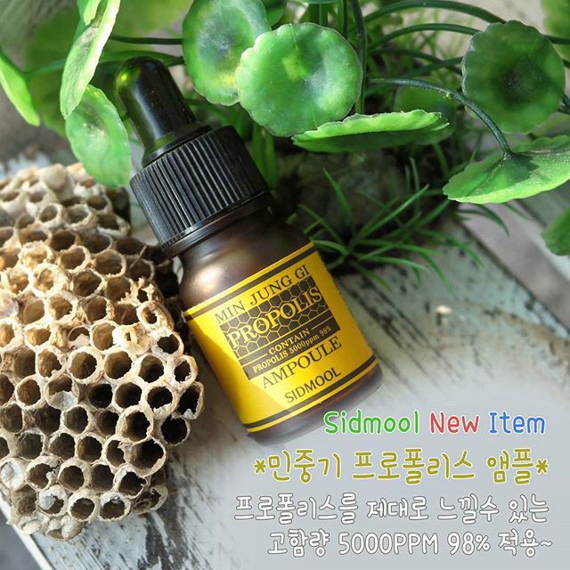 Serum nọc ong Sidmool Propolis
