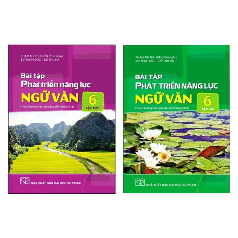 Sách - Combo Bài tập phát triển năng lực ngữ văn 6  - Sách Giáo Khoa Cánh Diều