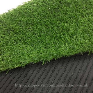 [ CẮT LẺ ] Tấm cỏ nhân tạo đế dày - cỏ dày cao 2cm