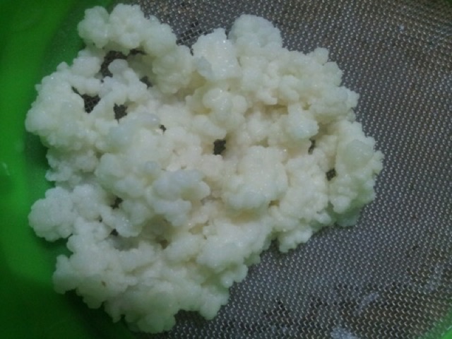 Nấm kefir làm sữa chua | BigBuy360 - bigbuy360.vn