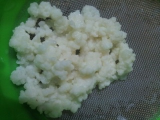 Nấm kefir làm sữa chua