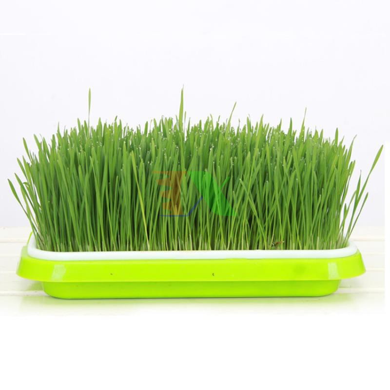 Bộ kit Khay trồng rau mầm thủy canh chuyên dụng (6 khay 3 tầng )