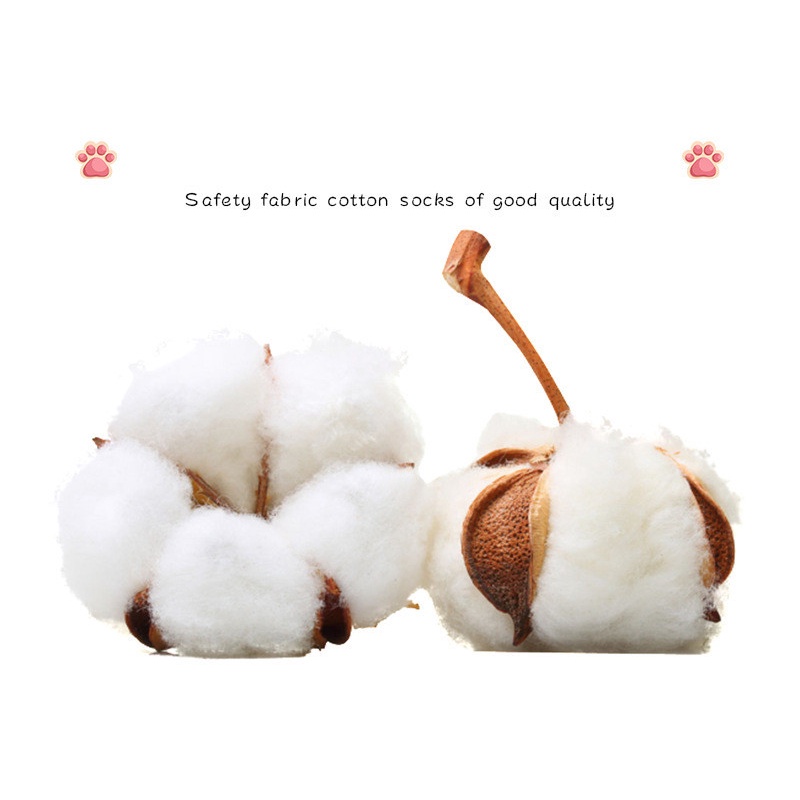 Set 5 Đôi Vớ Cotton Giữ Ấm Thoáng Khí Chống Trượt Hình Gấu Hoạt Hình Dành Cho Trẻ Em