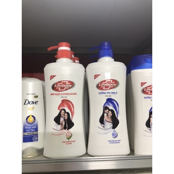 DẦU GỘI LIFEBUOY 640g