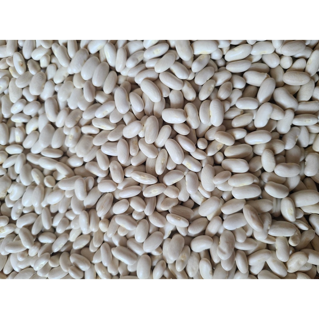 100g các loại đậu