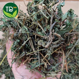 Trà giảo cổ lam Sapa chuẩn 7 lá | Kho thảo dược 24h