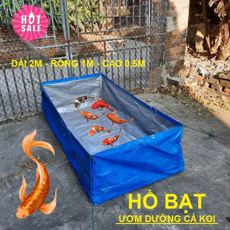 Hồ ươm dưỡng cá kiểng - cá koi ( bằng bể bạt )