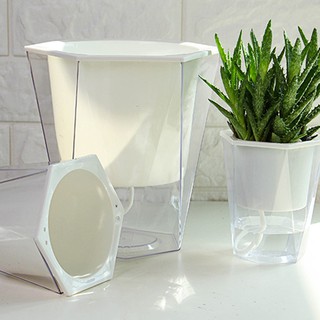 Chậu trồng cây tự thấm hút - Mẫu trong suốt RLU