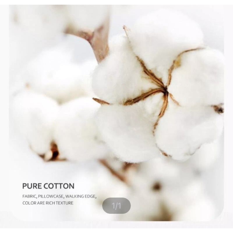 1 đôi vỏ gối cotton, lông mịn size to mẫu Gấu Vịt Brown Sally LINE