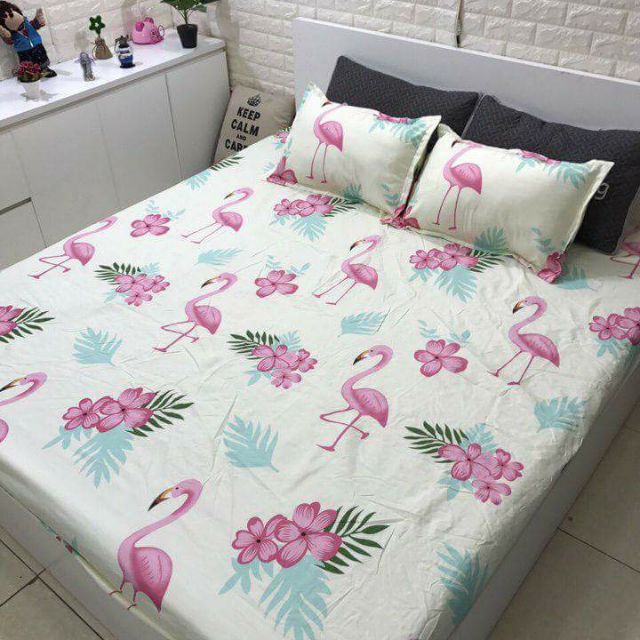 Ga gối poly( com bo ga gối + ga ct)